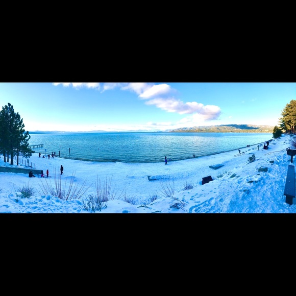 Meet your Posher, Sadie - Picture 1 of 1